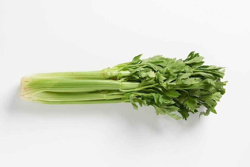 Can Cats Eat Celery? A Fellow Cat Parent's Complete Guide